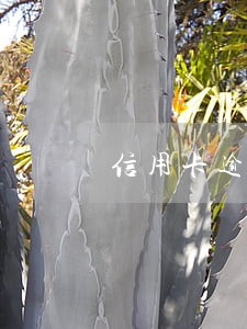 信用卡逾期怎么解封 卡农 信用卡逾期怎么解封 卡农